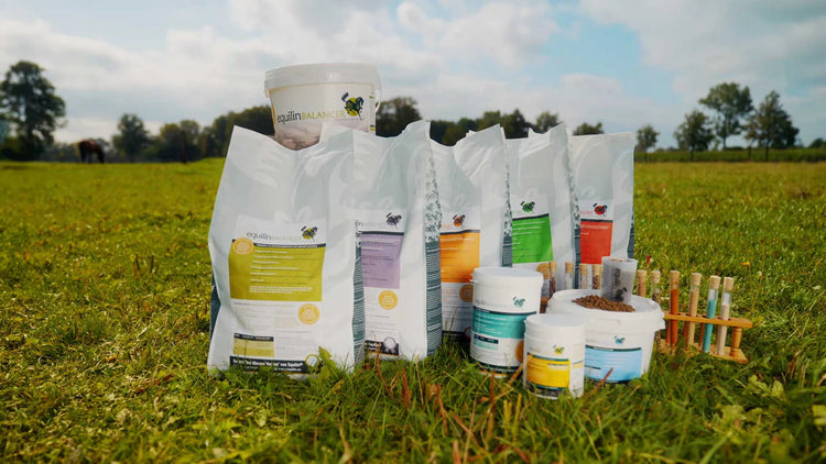 Supplementen voor paardenvoeding