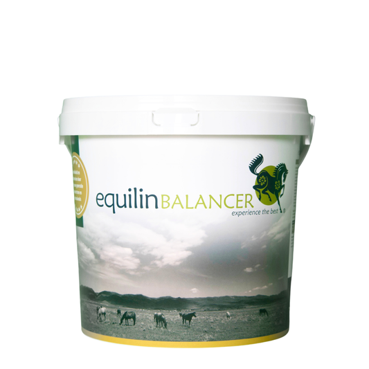 Bewaaremmer EquilinBALANCER