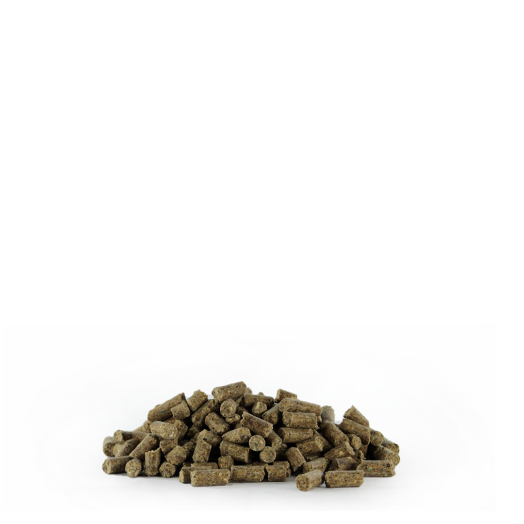 GROW startpakket