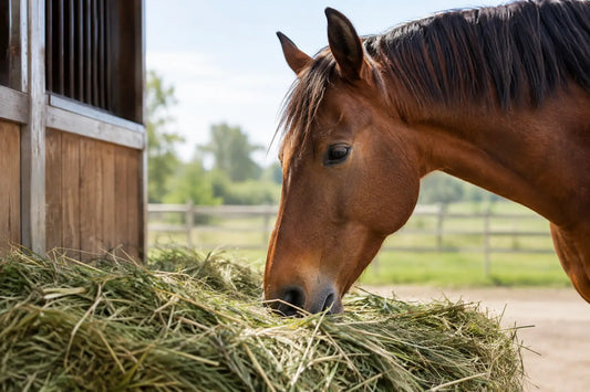 Hoeveel ruwvoer heeft een paard dagelijks nodig?