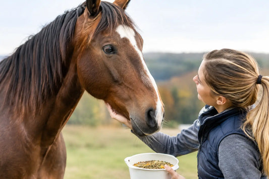 Hat mein Pferd einen Nährstoffmangel wirklich?