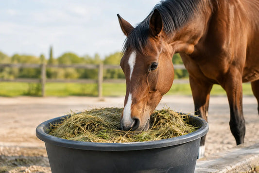 Hooi weken voor paarden: veilig en doordacht