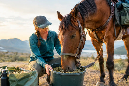 Endurance Horse Feeding Example for Long Rides
