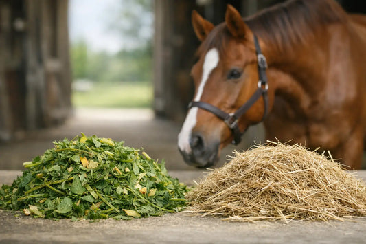 Ruwvoer versus hooi voor je paard: het verschil