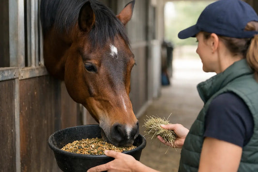 Picky Horse Feeding Starts With the Reason
