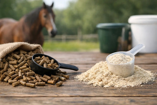 Pellets oder Pulver für Pferdezusatzfutter?