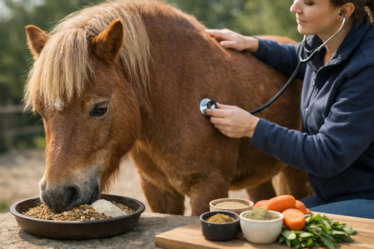 Pony vitaminen tekort herkennen en aanpakken