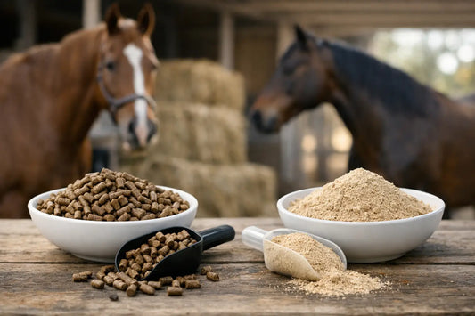 Pelleted Supplements Versus Powders for Horses