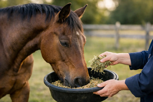 What to Feed Horses With Poor Topline Safely