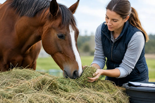 Five Forage Testing Benefits for Horse Owners