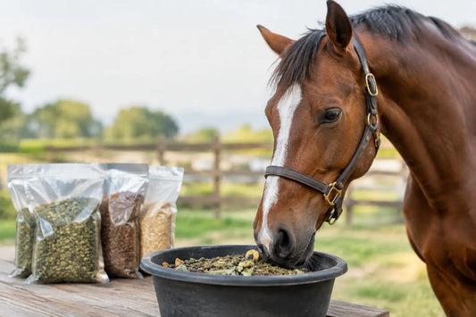 When to Use Trial Packs in Your Horse's Diet