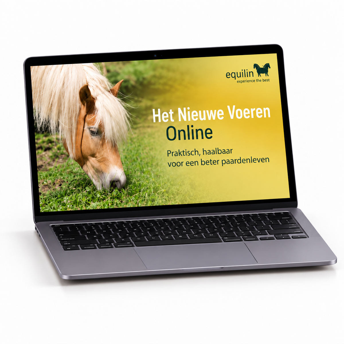 Het Nieuwe Voeren, online cursus deel 2
