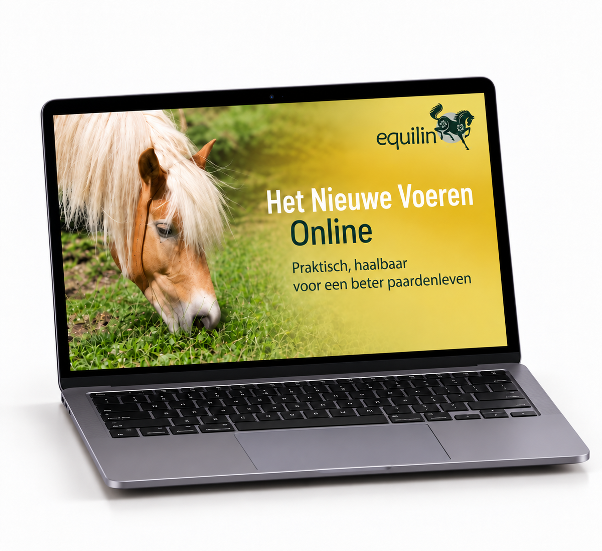 Het Nieuwe Voeren, online cursus deel 2