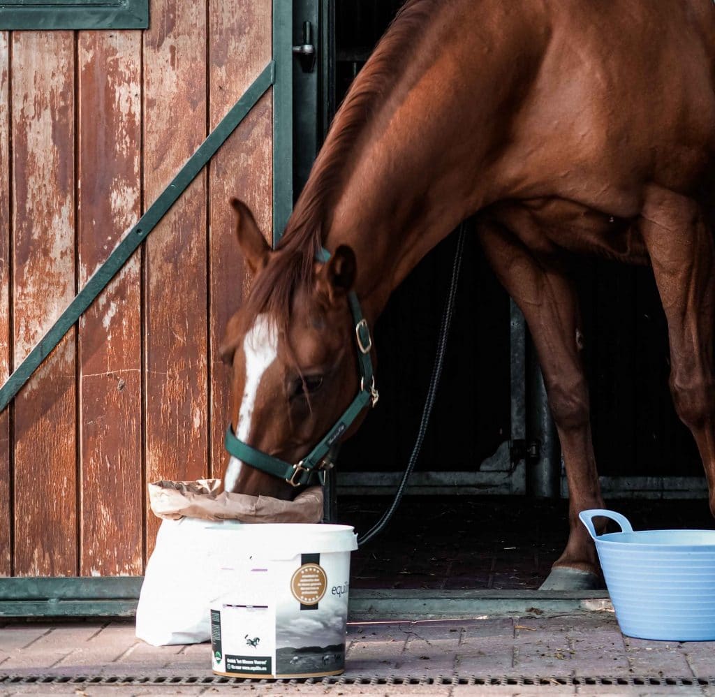 Equilin smaak gewenning en supplement voor gewrichten van het paard