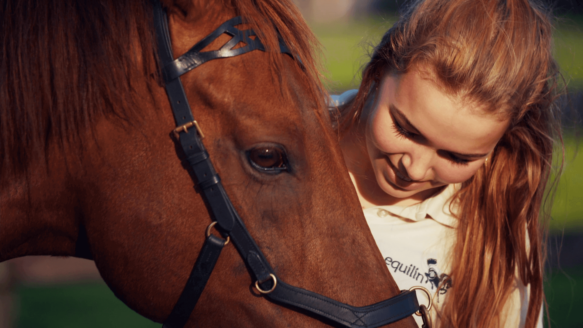 paardenvoeding kopen bij Equilin - het nieuwe voeren voor gezonde voeding en supplementen voor paarden en pony